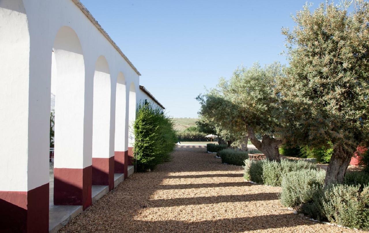 Quinta Da Chamine Hotel Ferreira Do Alentejo Exterior foto